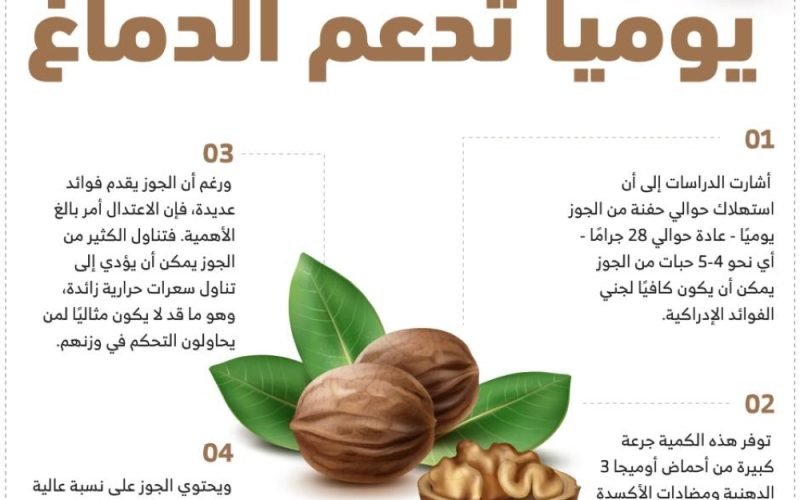 كم حبة جوز يوميًا تدعم الدماغ