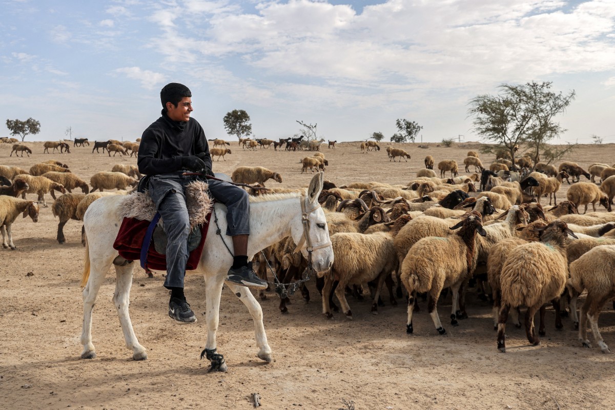 AFP__20240828__36EW7FW__v1__Preview__IsraelMinoritiesBedouin.jpg