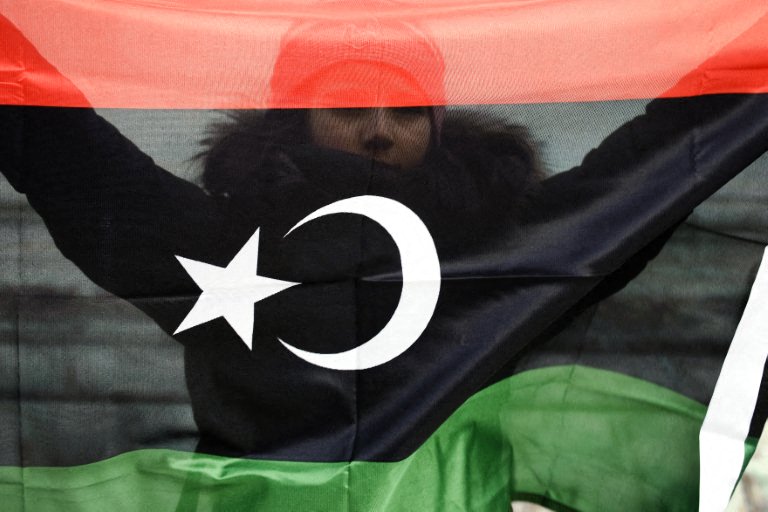 AFP__20110226__Par6096991__v1001__Preview__SwitzerlandLibyaPoliticsUnrestProtest.jpg