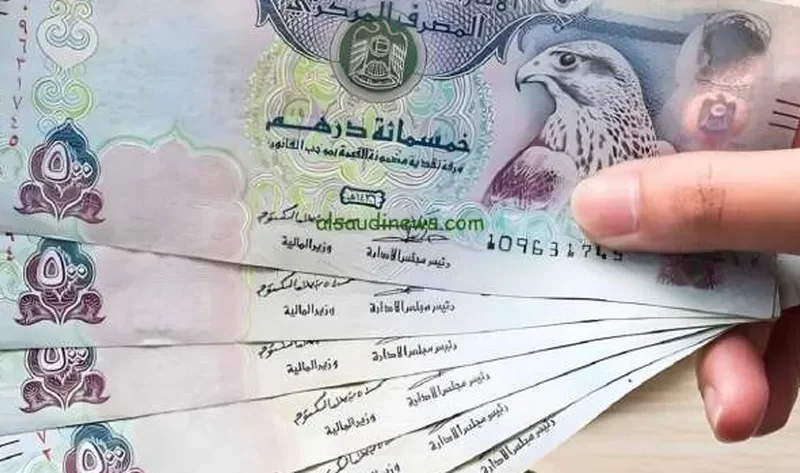 سعر الدرهم الإماراتي اليوم الثلاثاء 26-11-2024 في البنوك