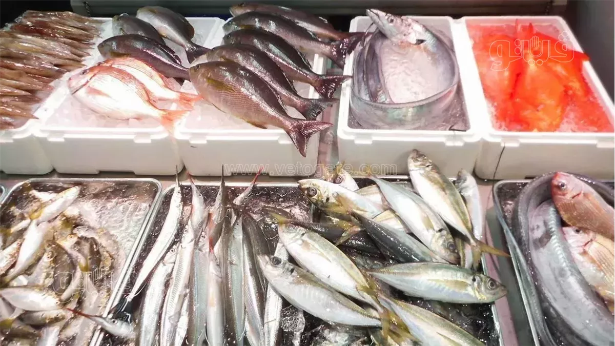 ارتفاع جديد في البلطي وقفزة للمكرونة والكابوريا.. سعر السمك اليوم الجمعة 4 يوليو 2025