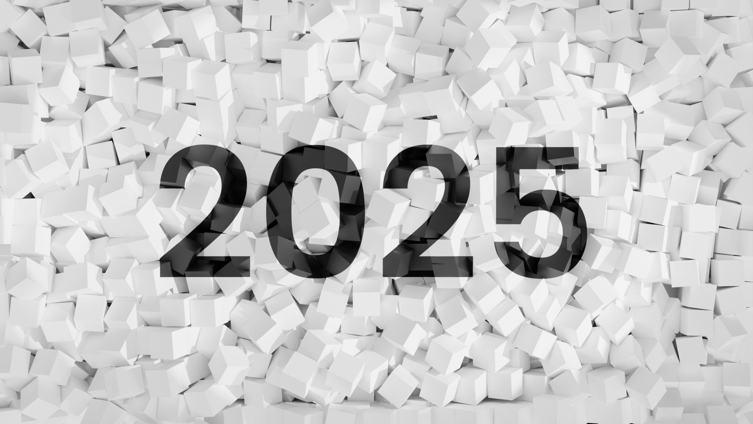 “اعرف هتريح امتى لآخر السنة” العطلات المتبقية لعام 2025 للموظفين في مصر