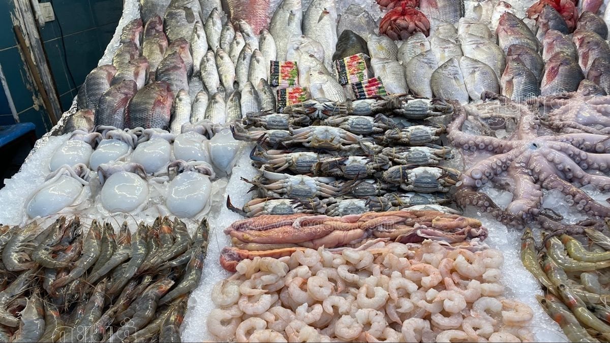 انخفاض كبير في البلطي.. سعر السمك والجمبري اليوم 1 أغسطس بسوق العبور