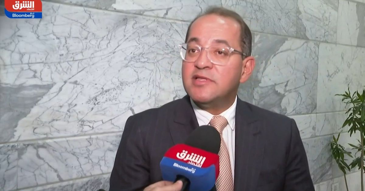 وزير المالية: مصر تعمل لطرح سندات للمغتربين خلال العام الجاري