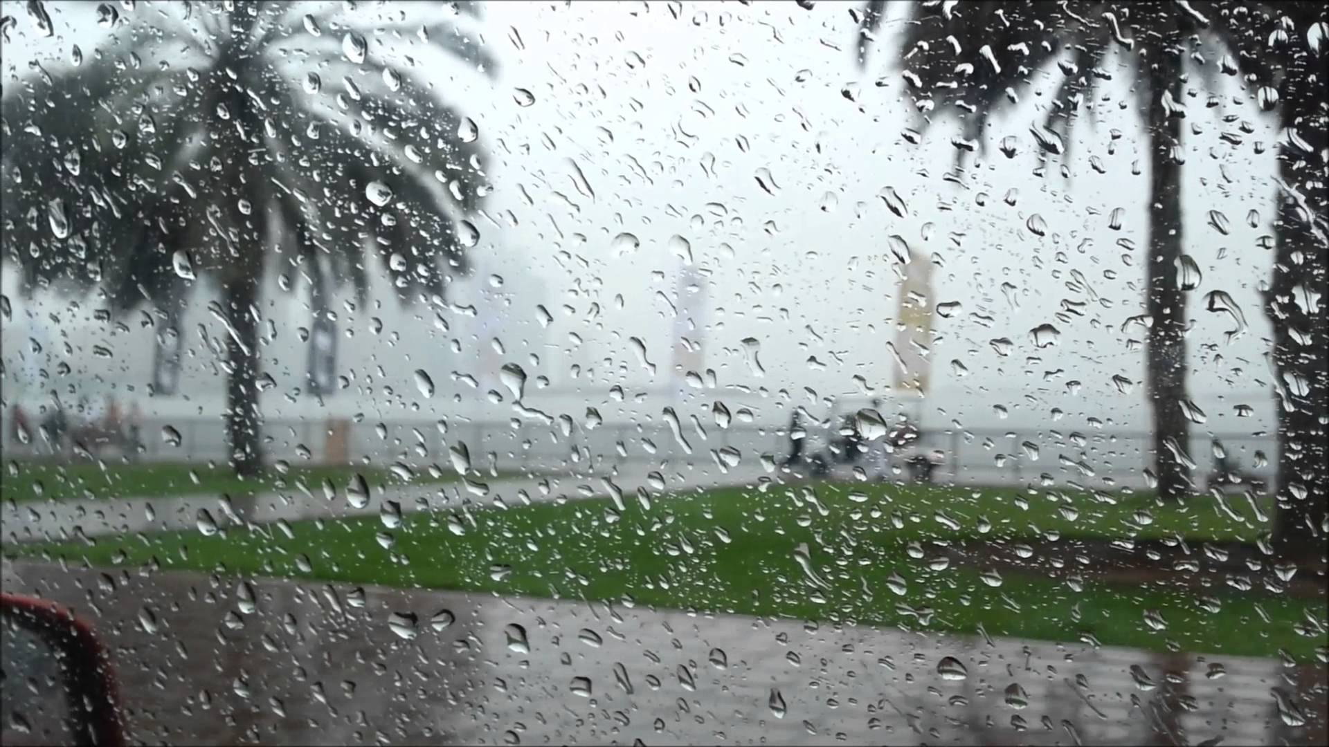 عودة الأمطار الرعدية والسيول على هذه المناطق.. بيان عاجل من الأرصاد الجوية عن حالة الطقس