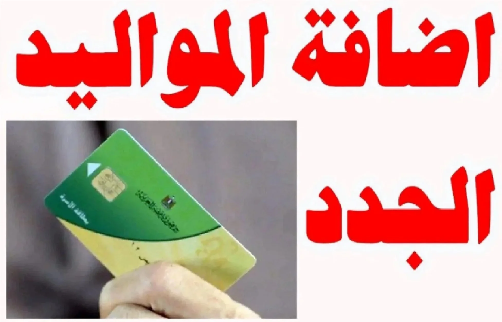 احصل على الزيت والسكر مجانا.. إضافة المواليد على بطاقة التموين 2025 لهذه الفئات رسميا