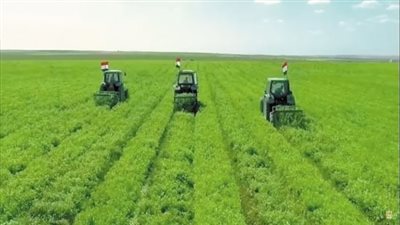 الصوب الزراعية بالمنيا.. خطوة استراتيجية نحو إنتاج غذاء آمن وزراعة مستدامة