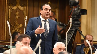 بعد إعلان إطلاقها .. وكيل حقوق النواب يطالب بالترويج لمنصة السياحة العلاجية