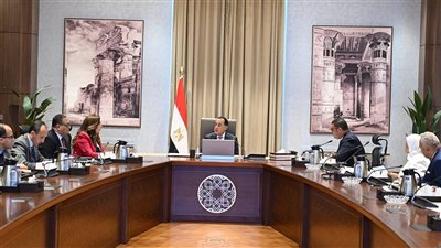 رئيس الوزراء يوجه بسرعة إجراء حصر دقيق بجميع العقارات الآيلة للسقوط ووضع آلية واضحة للتعامل