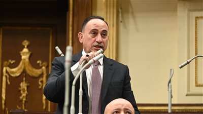 سؤال برلماني للنائب محمد زين الدين بسبب زيادة أسعار توصيل الغاز الطبيعي في إدكو