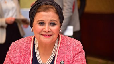 مسح الأسرة المصرية يرصد أوضاع السكان في عدة مجالات
