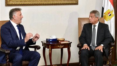 موقف مصر ثابت تجاه القضية الفلسطينية ويرفض تمامًا مخططات التهجير