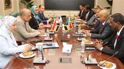 تعاون مصري سوداني لإعادة تأهيل المحطات والتوسع بالطاقة الشمسية والربط الكهربائي
