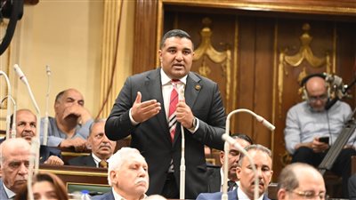 النائب محمود عصام يتقدم بسؤال للحكومة بشأن آليات مواجهة الكيانات الوهمية في المعاهد والجامعات