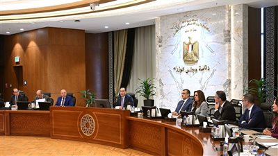 استراتيجية متكاملة للنهوض بصناعة الحديد والصلب في مصر