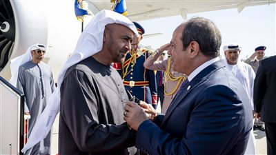اللقاء بين قيادتي مصر والإمارات يعكس دور الدول العربية التي ما زالت تقف على أقدام ثابتة