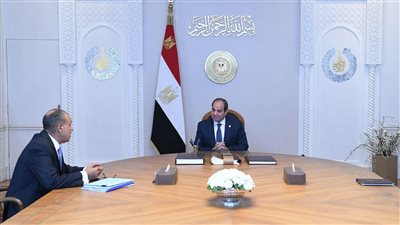 الرئيس السيسي يجتمع بوزير الخارجية لمناقشة الحقوق الاقتصادية والاجتماعية