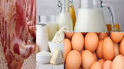 هبوط باسعار اللحوم والدواجن والألبان.. الزراعة توضح