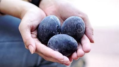 البيض الأسود.. كنز نادر يجمع بين الرفاهية والفوائد الصحية