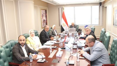 خفض 19 ألف ميجاوات طاقة تقليدية في إطار خطة مواجهة الانبعاثات الكربونية وتقليل الاعتماد على الوقود الأحفوري