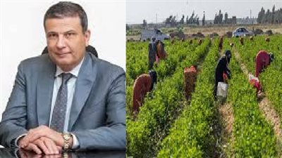 الصادرات الزراعية المصرية تجاوزت 7.2 مليون طن