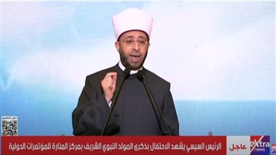 مصر ثابتة في دعم فلسطين ورفض التهجير