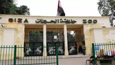 تأجيل افتتاح حديقة الحيوان بالجيزة.. أعمال تطوير مستمرة