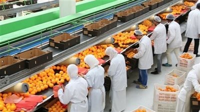 خطة لزيادة صادرات الحاصلات الزراعية