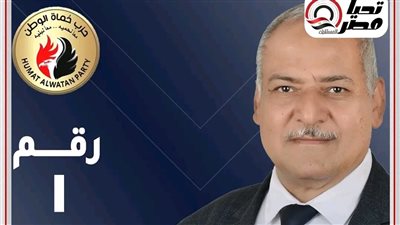عبد الحكم جبالي يفوز بمقعد الوادي الجديد بمجلس الشيوخ ضمن جولة الإعادة