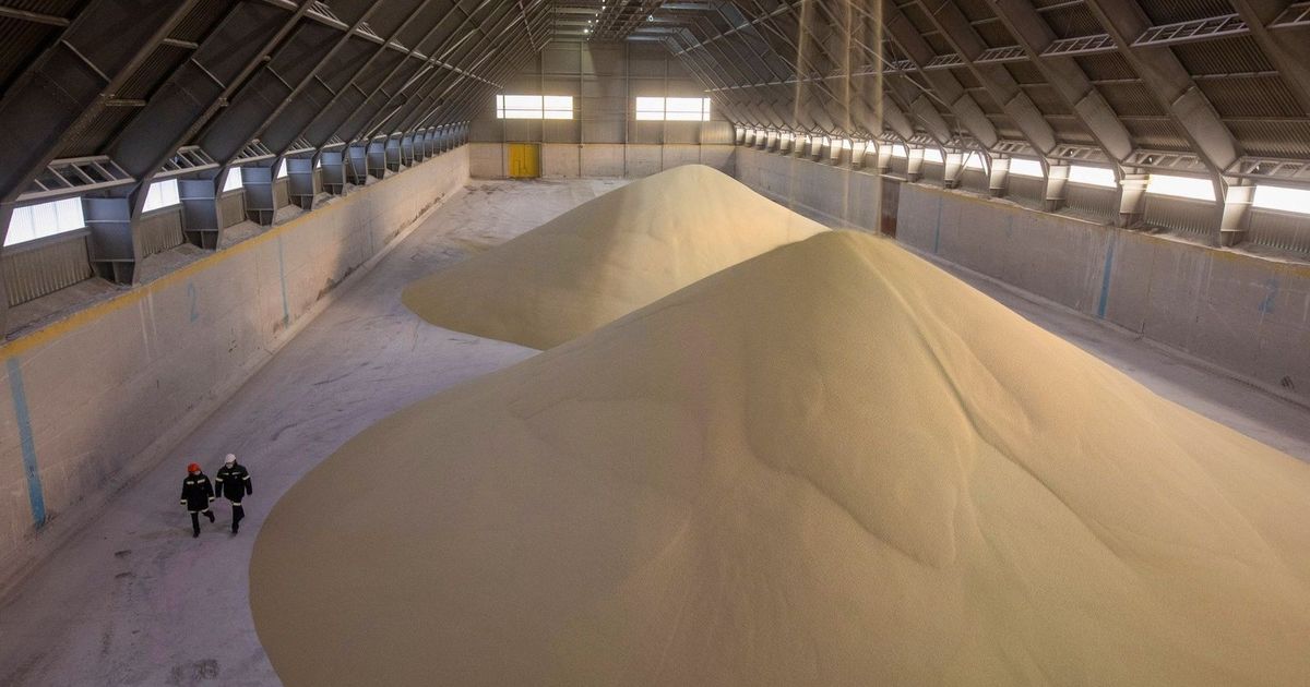 مصر تثبت أسعار الأسمدة رغم زيادة كلفة الغاز