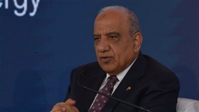 لا نية لتحريك أسعار الكهرباء حتى نهاية العام