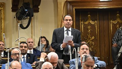 أيمن أبو العلا يرحب باعتراض الرئيس على الإجراءات الجنائية ويرفض تأجيل التطبيق لمدة عام.. وانتقاد حاد لوزير العدل