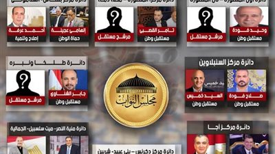 تحيا مصر ينفرد بنشر أسماء مرشحي أحزاب التحالف بمحافظة الجيزة لانتخابات مجلس النواب 2025