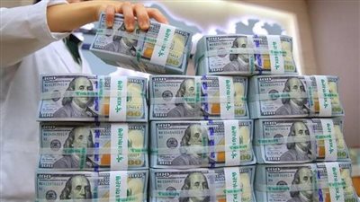 ارتفاع الاحتياطي الأجنبي إلى 49.53 مليار دولار يعكس قوة الاقتصاد وثقة المستثمرين