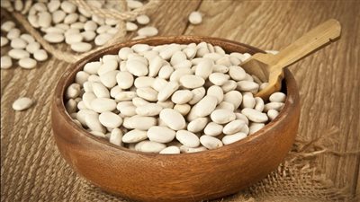 ربع مليون طن صادرات.. لماذا تكثف مصر جهودها في استنباط أصناف جديدة من الفاصوليا؟