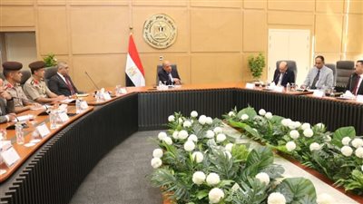 استخلاص العناصر النادرة وتعظيم أوجه الاستفادة من خلال كيانات اقتصادية وطنية