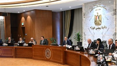 مصر تدعم التحول الرقمي في الكوميسا لتذليل الصعوبات أمام المستثمرين وزيادة التبادل التجاري