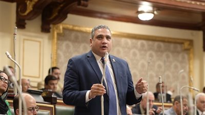 فارس جديد من فرسان التنسيقية تحت القبة.. الرئيس السيسي يصدر قرار بتعيين النائب عماد خليل عضوا بمجلس الشيوخ