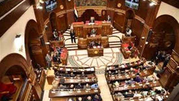 أساتذة جامعات بقائمة المعينين بمجلس الشيوخ.. بالأسماء