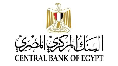 مجموعة العمل المالي تدرج تجربة مصر ضمن أفضل الممارسات الدولية في تعزيز الشمول المالي