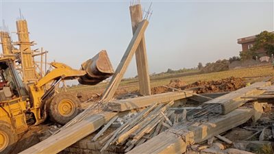 الإصلاح الزراعي.. إزالة 144 حالة تعدٍ وإطلاق منافذ غذائية متنقلة بأسعار مخفضة