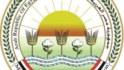 «الزراعة» تنتهي من فحص تقاوي البطاطس لـ «العروة الشتوية التصديرية» بكمية تتجاوز 320 ألف طن