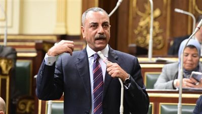 الإجراءات الجنائية نقلة حقيقية في ملف حقوق الإنسان