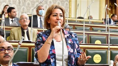 تطبيق تليفوني خطوة جوهرية لضبط سوق الهواتف