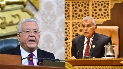 رئيس البرلمان يهنئ المستشار عصام الدين فريد رئيس مجلس الشيوخ