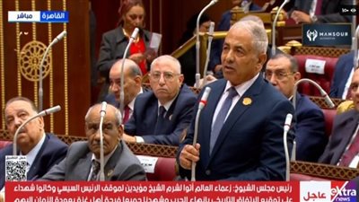 العوضى وفارس سعد وكيلا لمجلس الشيوخ 2025