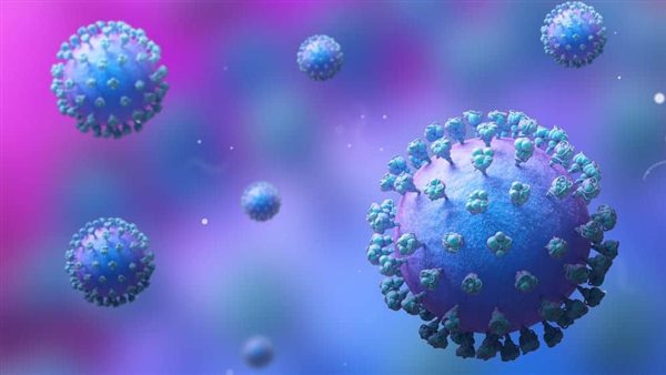 أعراض وطرق علاج فيروس الميتانيمو.. وإجراءات “التعليم” لوقاية الطلاب منه