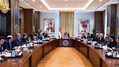 رئيس الوزراء يلتقى رئيس مجلس إدارة مجموعة أروجلو القابضة العالمية لبحث التعاون في إدارة وتشغيل عدد من مصانع الغزل والنسيج