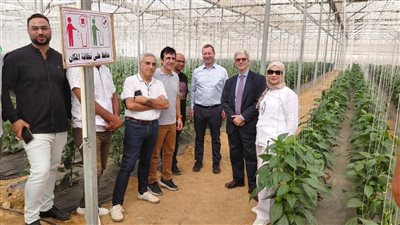 إشادة أوروبية بدور الهيئة القومية لسلامة الغذاء في تعزيز الصادرات المصرية ونجاحها في اجتياز المراجعة الفنية