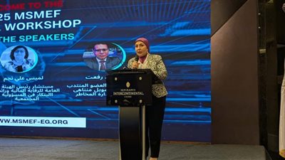 قطاع المشروعات المتوسطة والصغيرة يقود تحسُّن الاقتصاد المصري